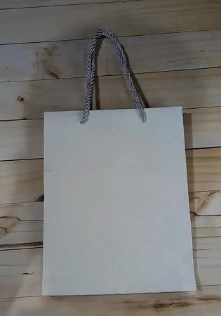 BOLSA DE PAPEL CHICA BLANCA