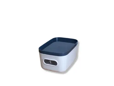 CAJA PLAST. C/TAPA RECTANG.