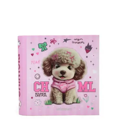 CARPETA ESCOLAR 3X40 PADDLE ST05