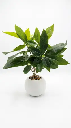 PLANTA ARTIFICIAL