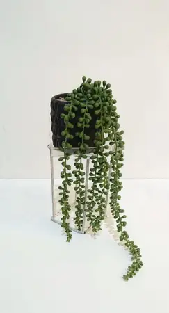 PLANTA ARTIFICIAL COLGANTE 40CM