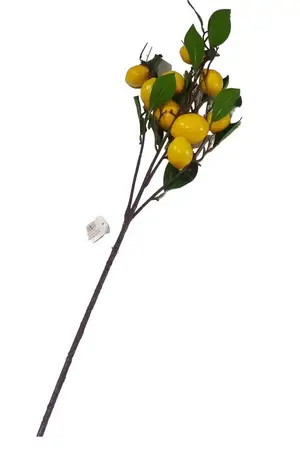 RAMA ART.LIMON 90Cm.